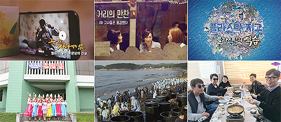 상단 왼쪽부터 시계방향으로 SBS 그것이 알고 싶다, KBS 거리의 만찬, KBS 플라스틱 지구, tvN 알쓸신잡, 대전MBC 검은 재앙 10년, 절망에 건진 희망, JTBC 서울·평양 두 도시 이야기